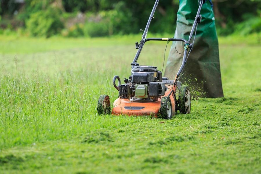 A person is mowing a lush green lawn with a lawn mower.