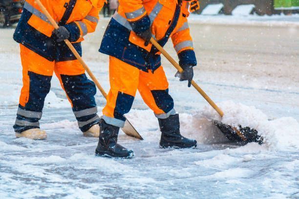 A group of people are shoveling snow from the ground.