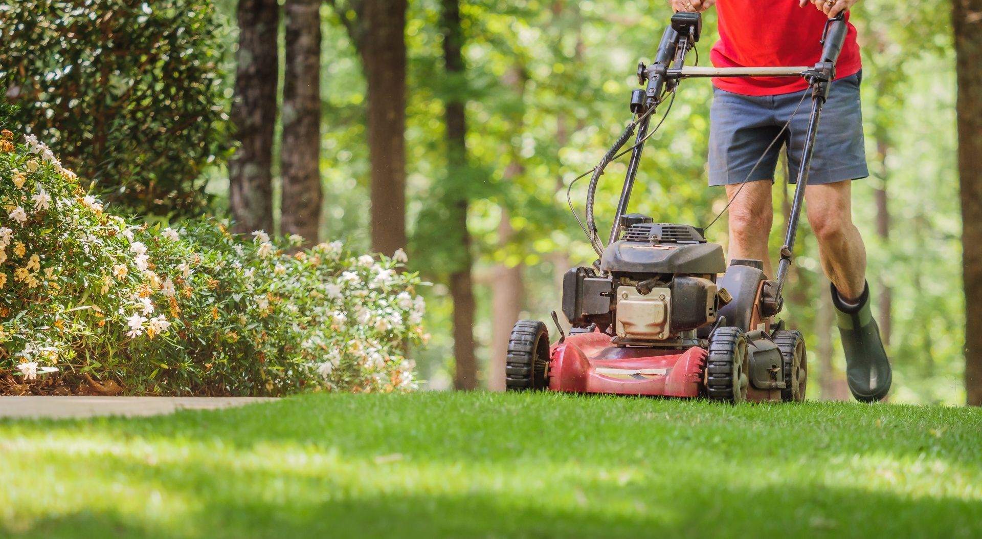 A man is cutting a lush green lawn with a lawn mower.