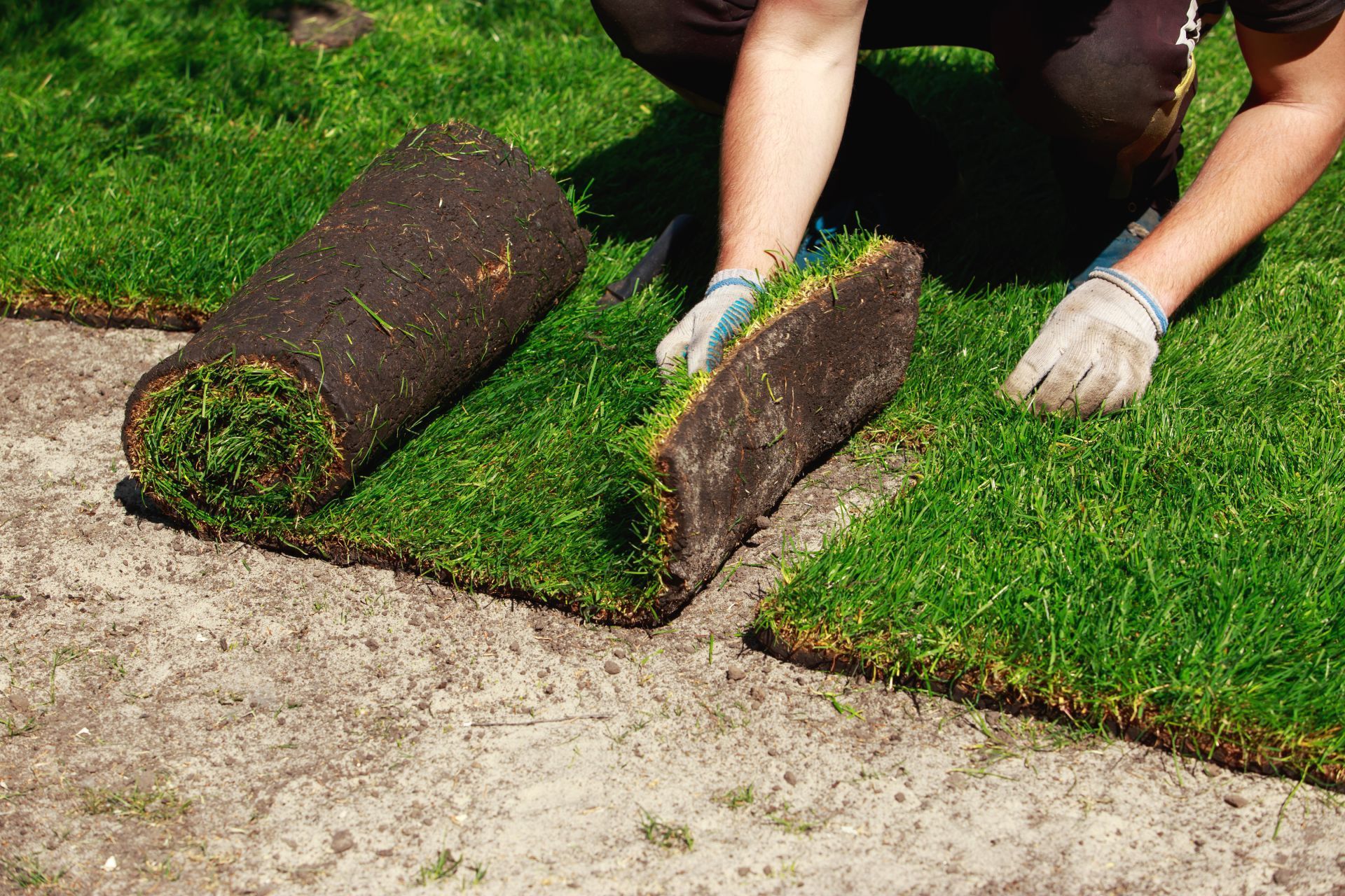 A person is laying rolls of turf on the ground.