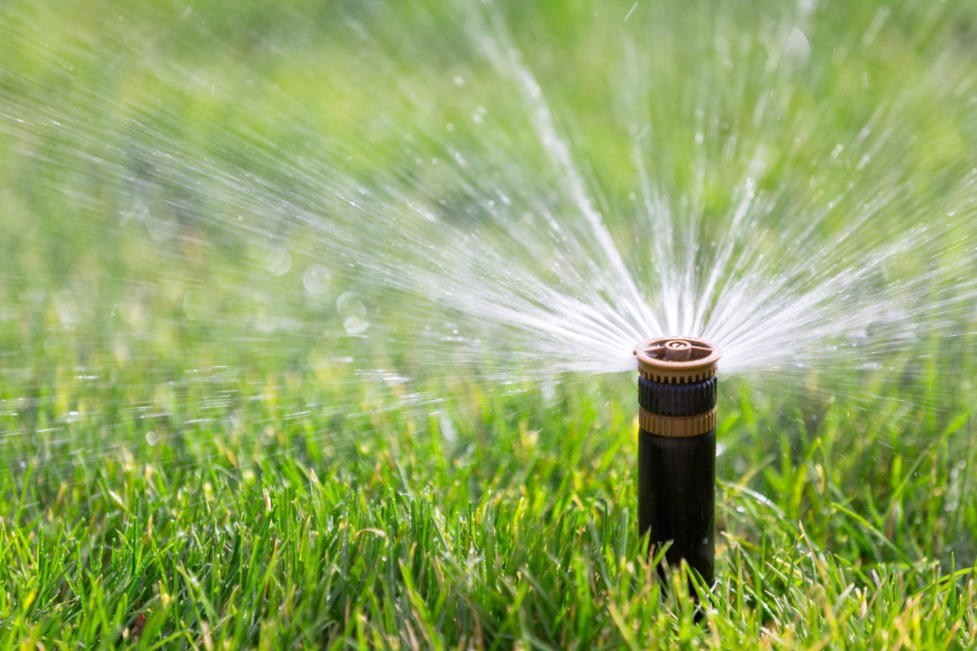 A sprinkler is spraying water on a lush green lawn.