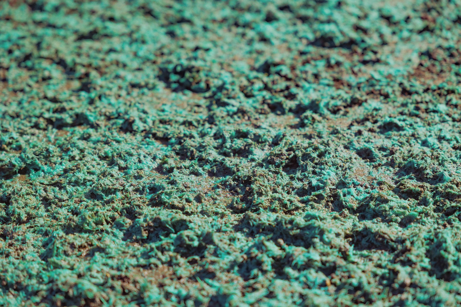 une texture de tapis vert.