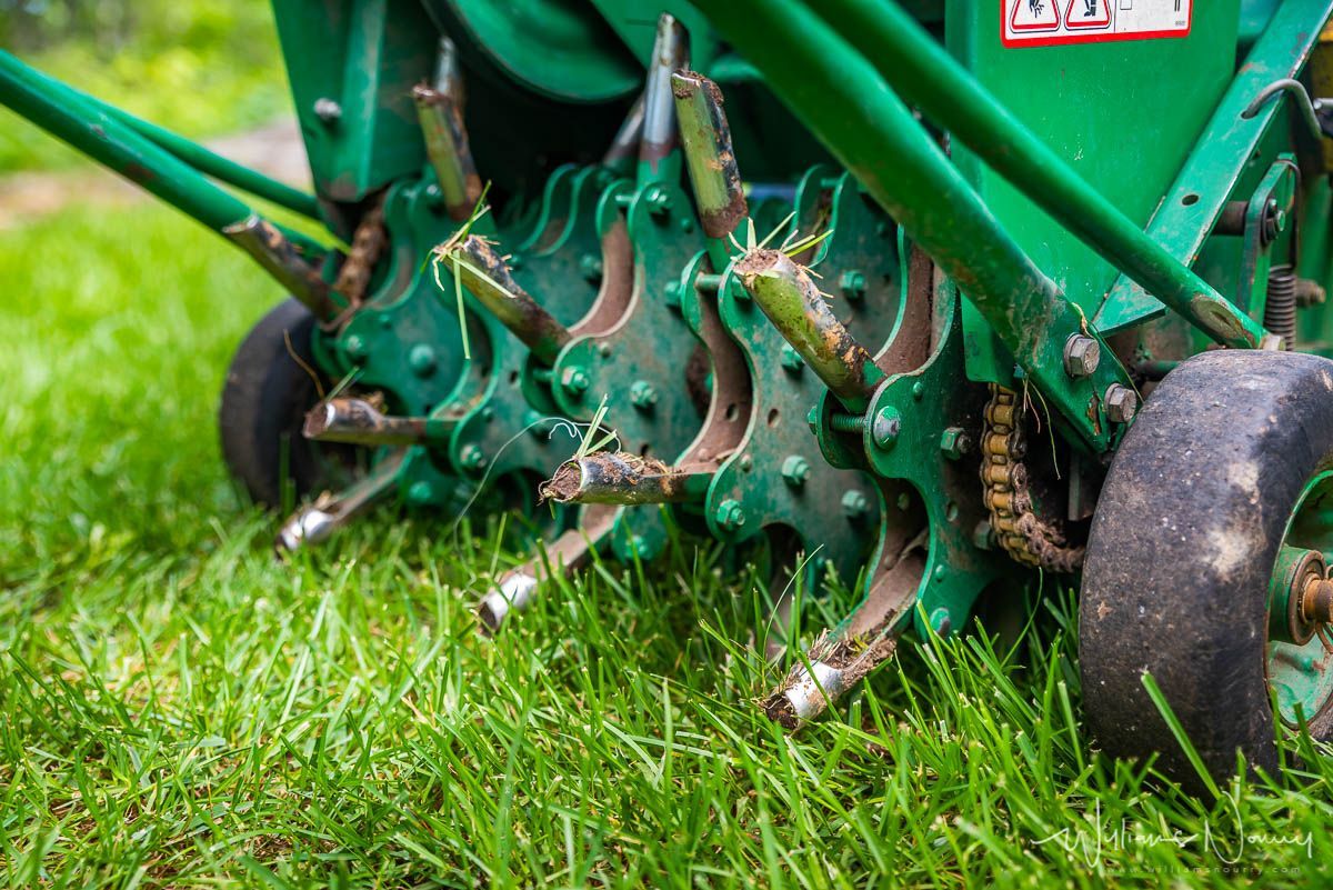 Une tondeuse à gazon verte est utilisée pour aérer une pelouse verte et luxuriante.