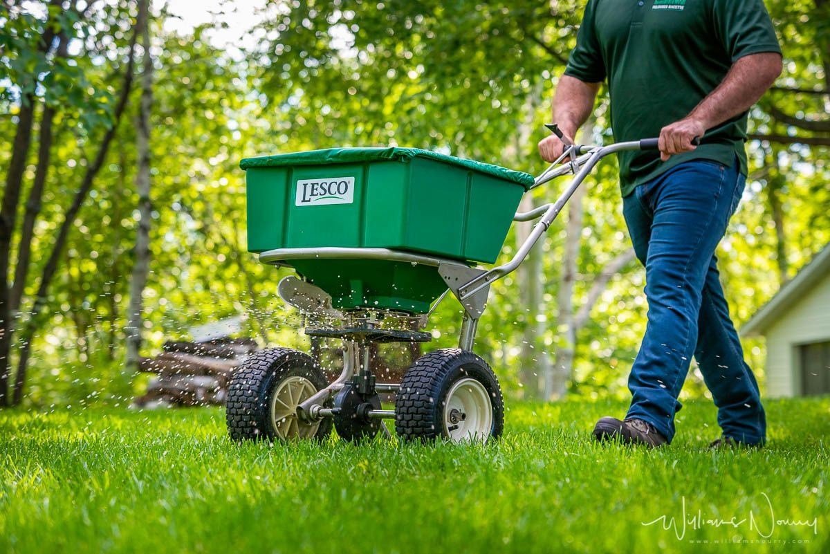 Un homme épand de l’engrais sur une pelouse verdoyante.
