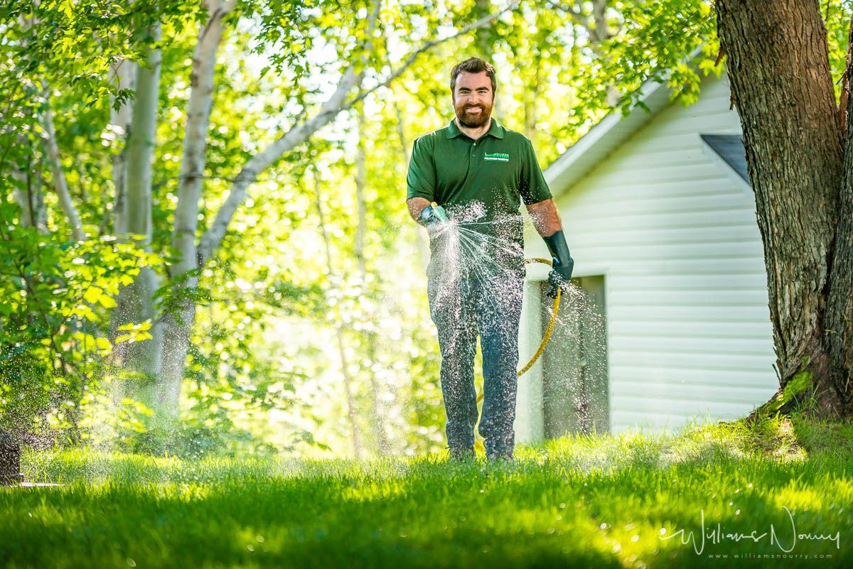 Un homme arrose sa pelouse avec un tuyau.