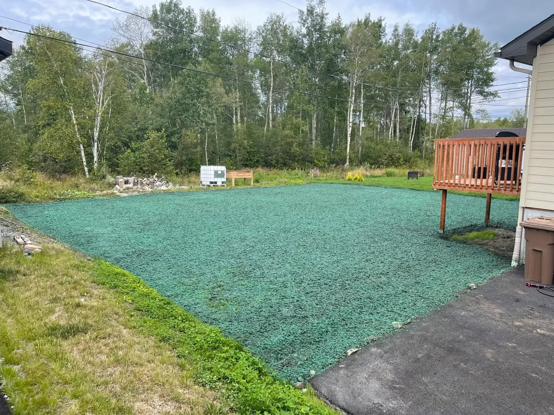 Une maison avec une pelouse verte devant et des arbres en arrière-plan.