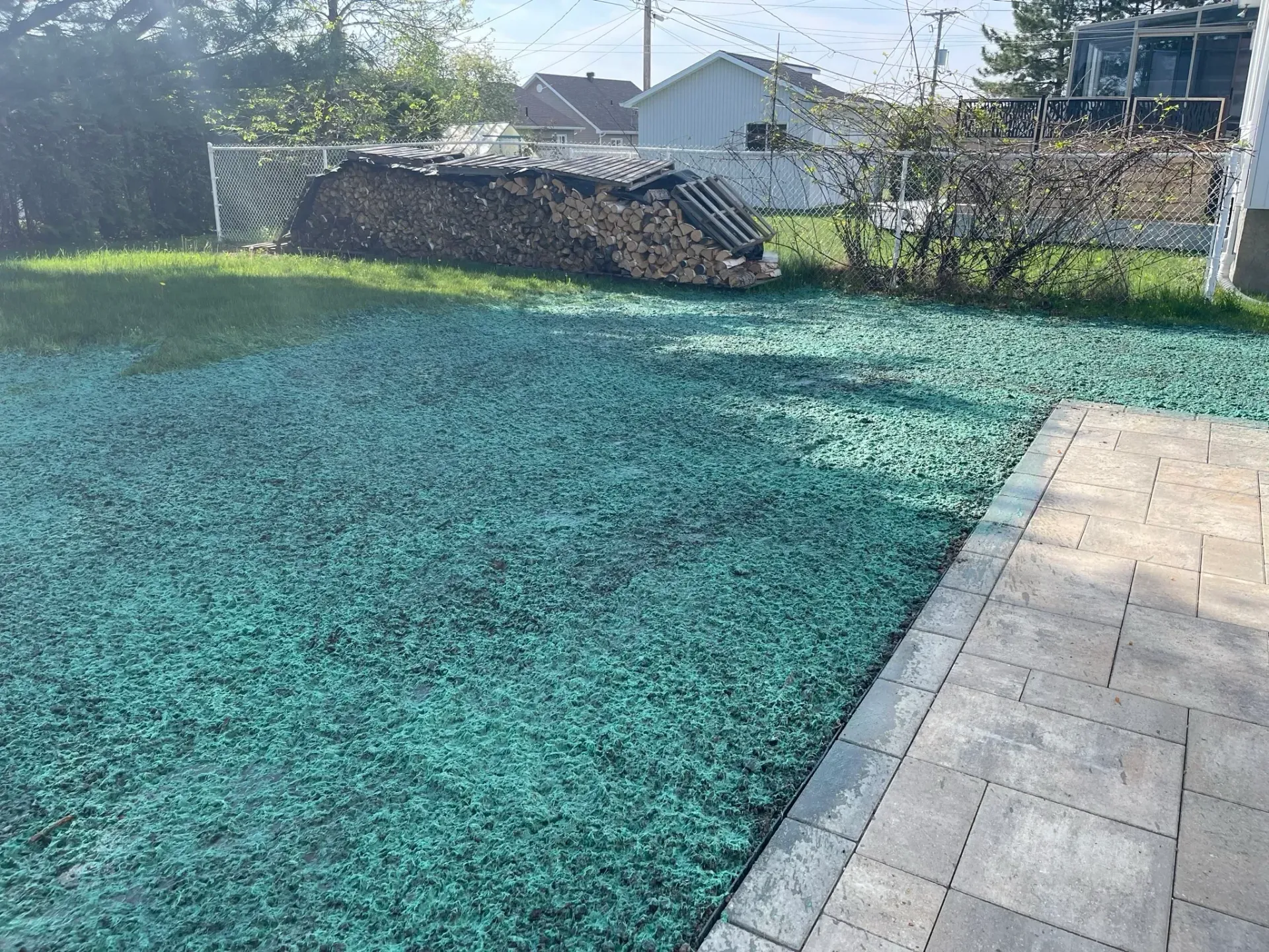 Une pelouse avec beaucoup d'herbe verte et un patio en arrière-plan.