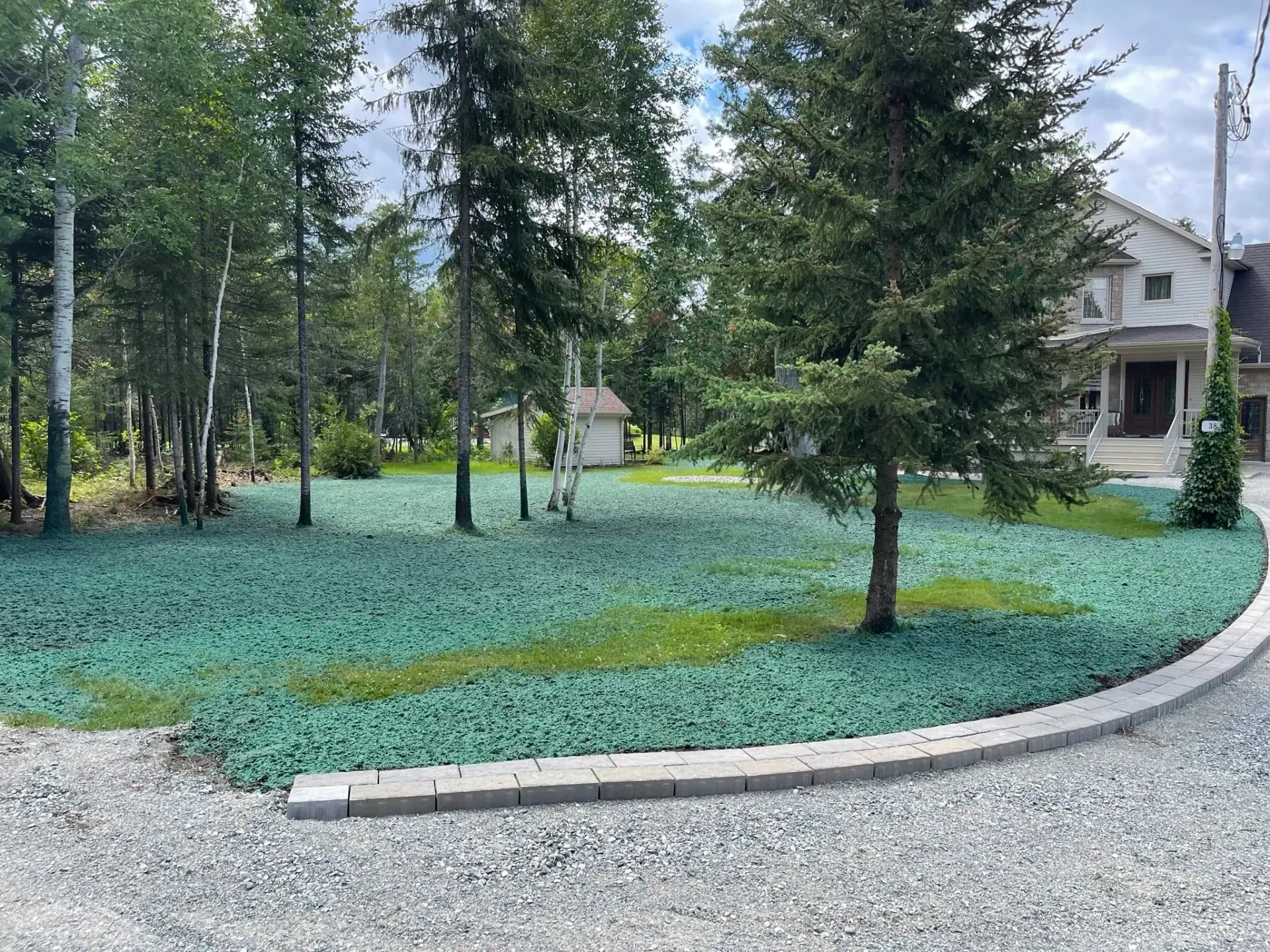Une cour verdoyante avec des arbres et une maison en arrière-plan.