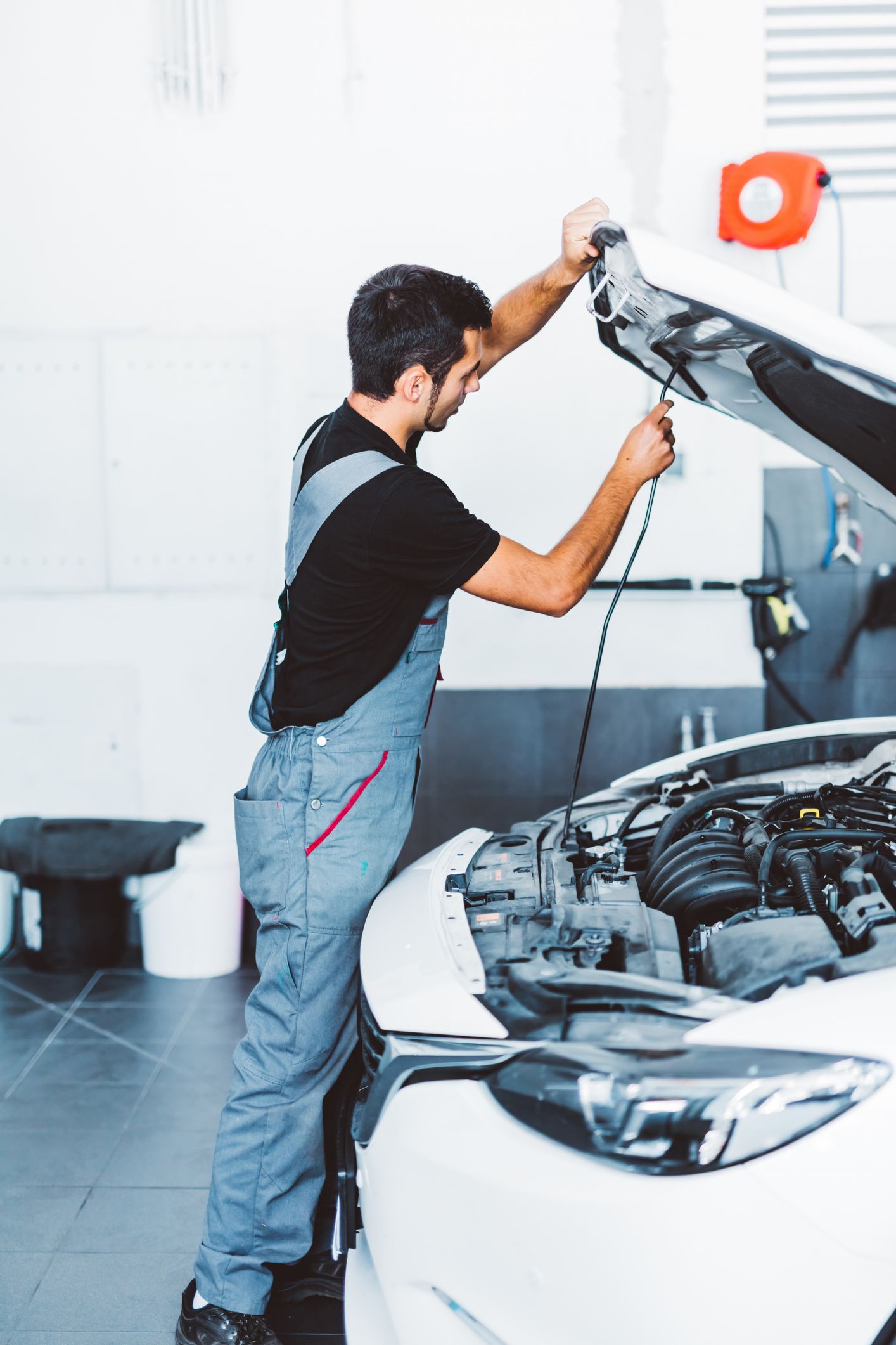 Berjel Distribuidora