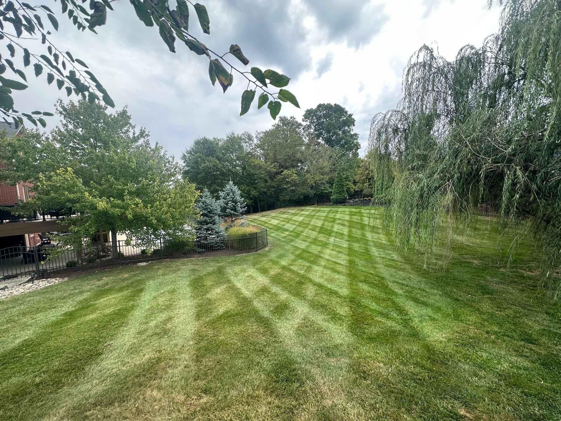 prime cut lawn