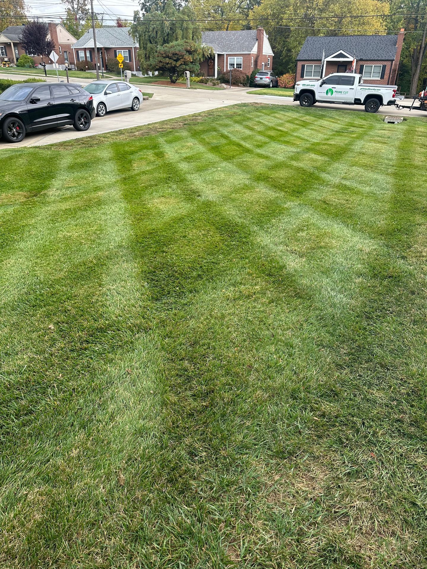 prime cut lawn