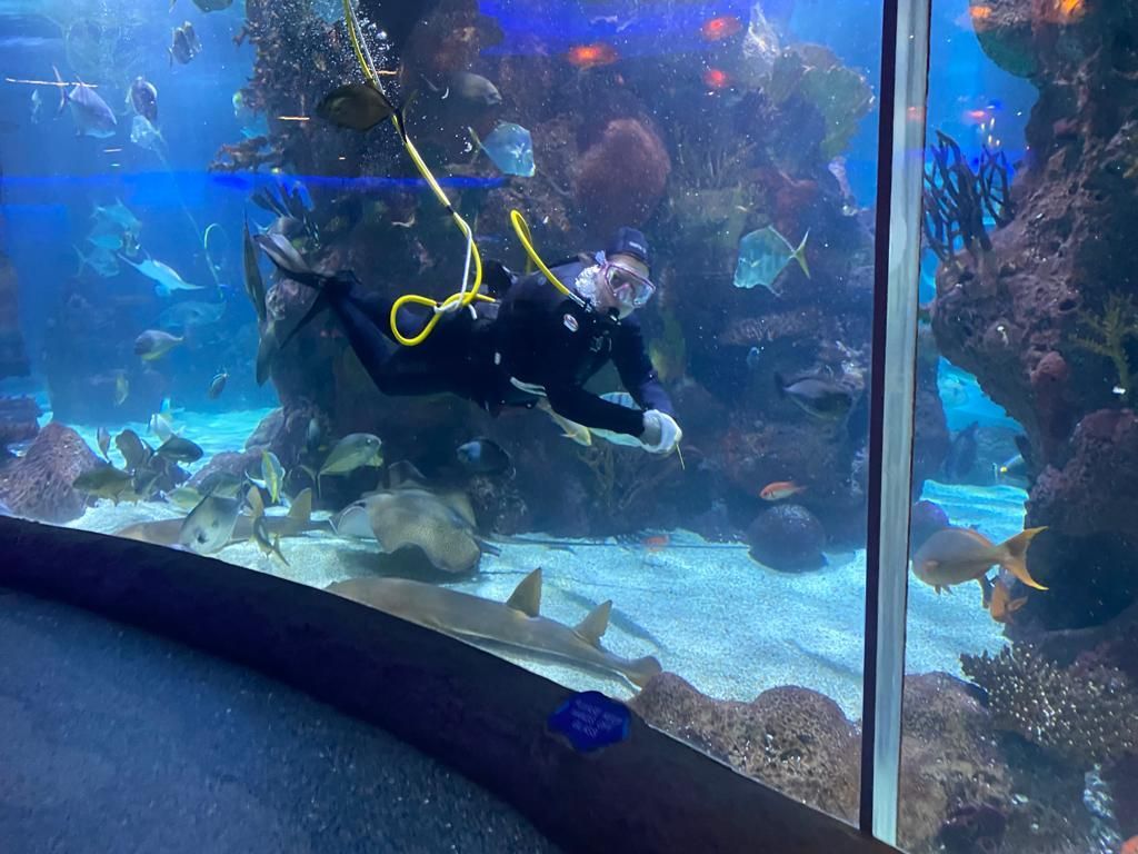 A scuba diver holding a sign that says it 's a girl