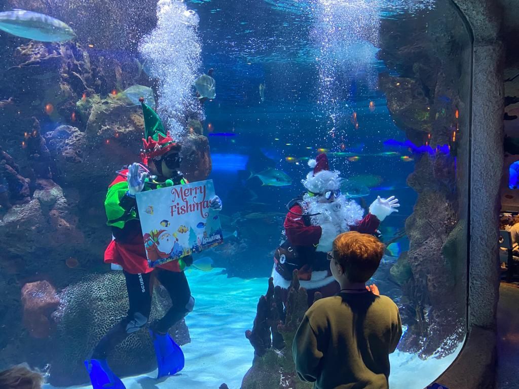 Appetizer platter at a restaurant with a large aquarium backdrop: chips, dip, fried food, and quesadillas.