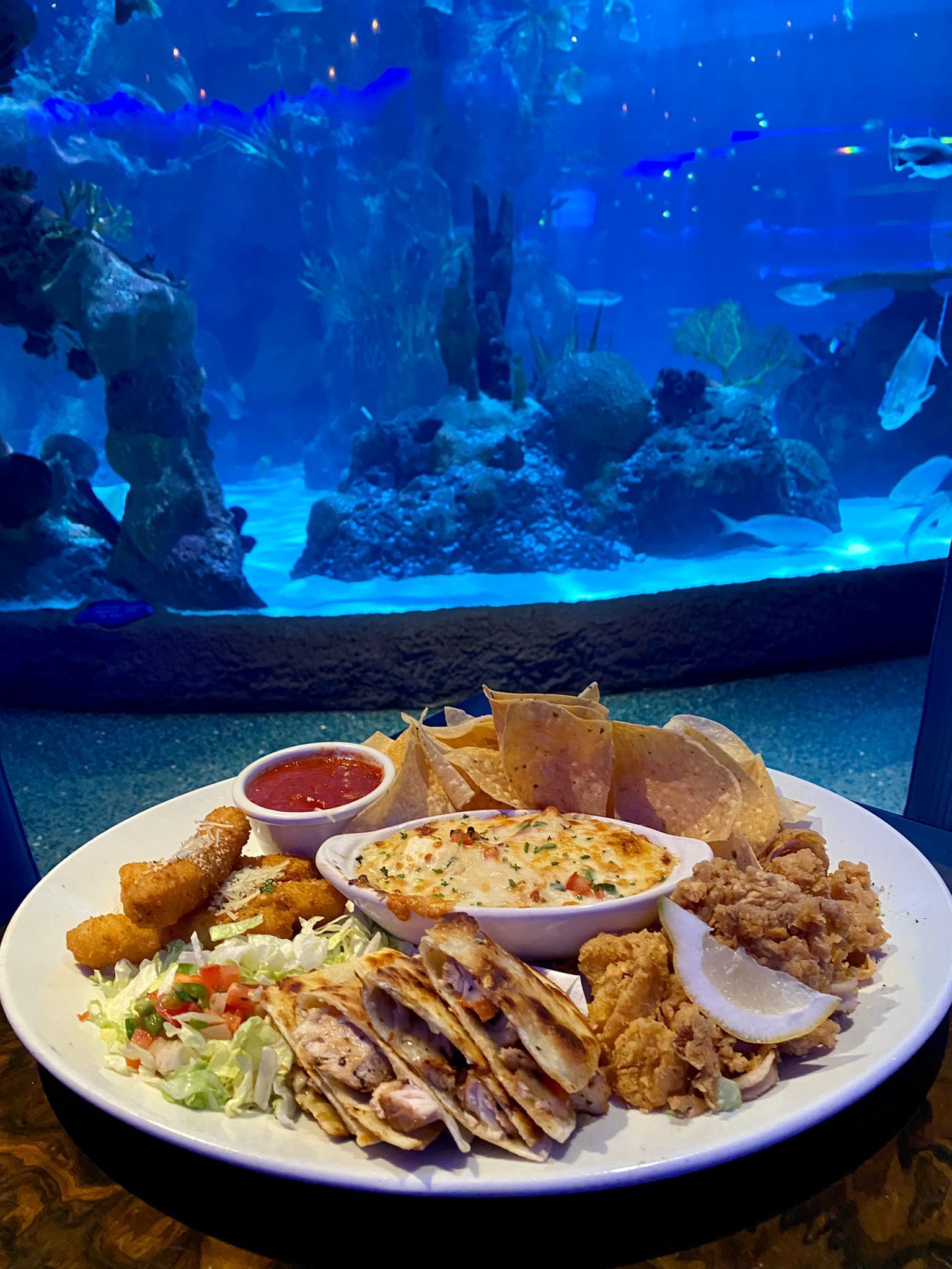 Appetizer platter at a restaurant with a large aquarium backdrop: chips, dip, fried food, and quesadillas.