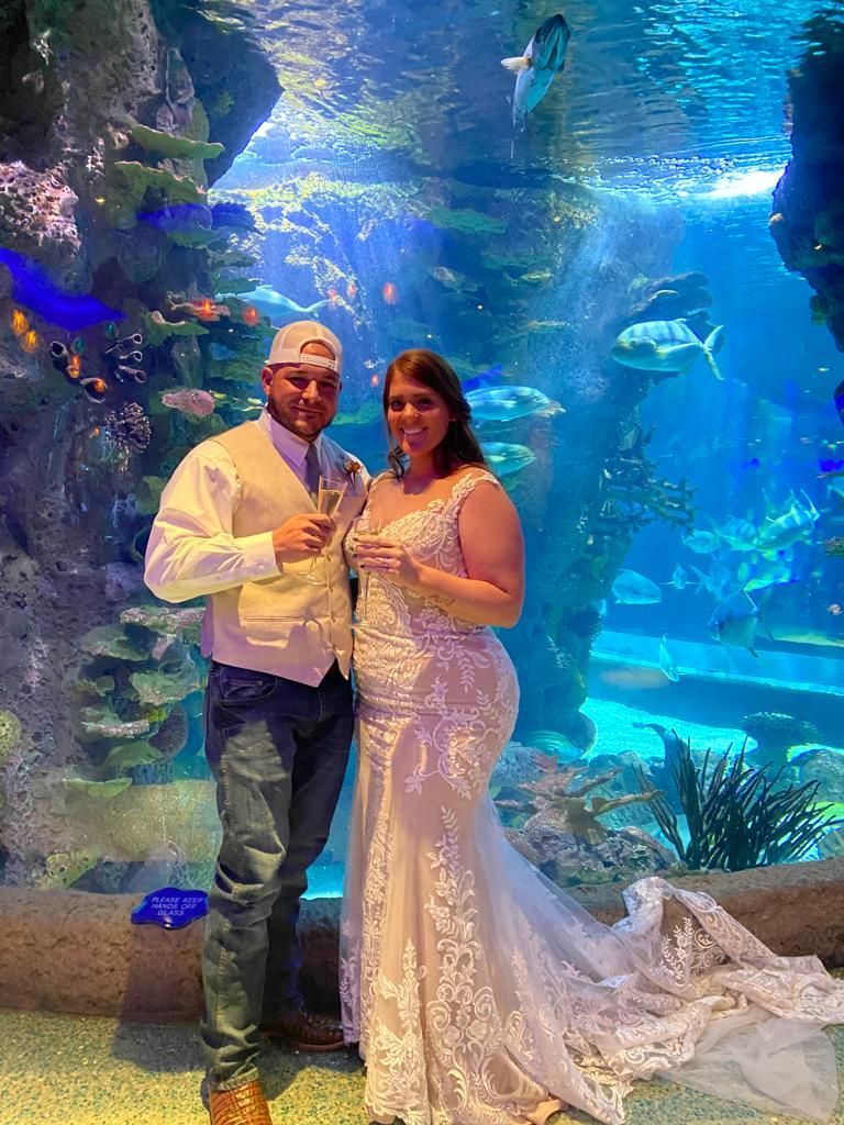 A wedding cake is sitting on a table in front of a blue wall