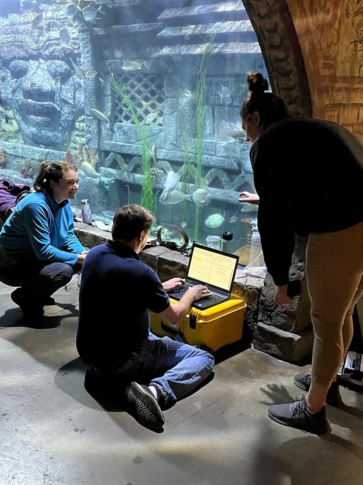 A group of people are working on a laptop in front of an aquarium.
