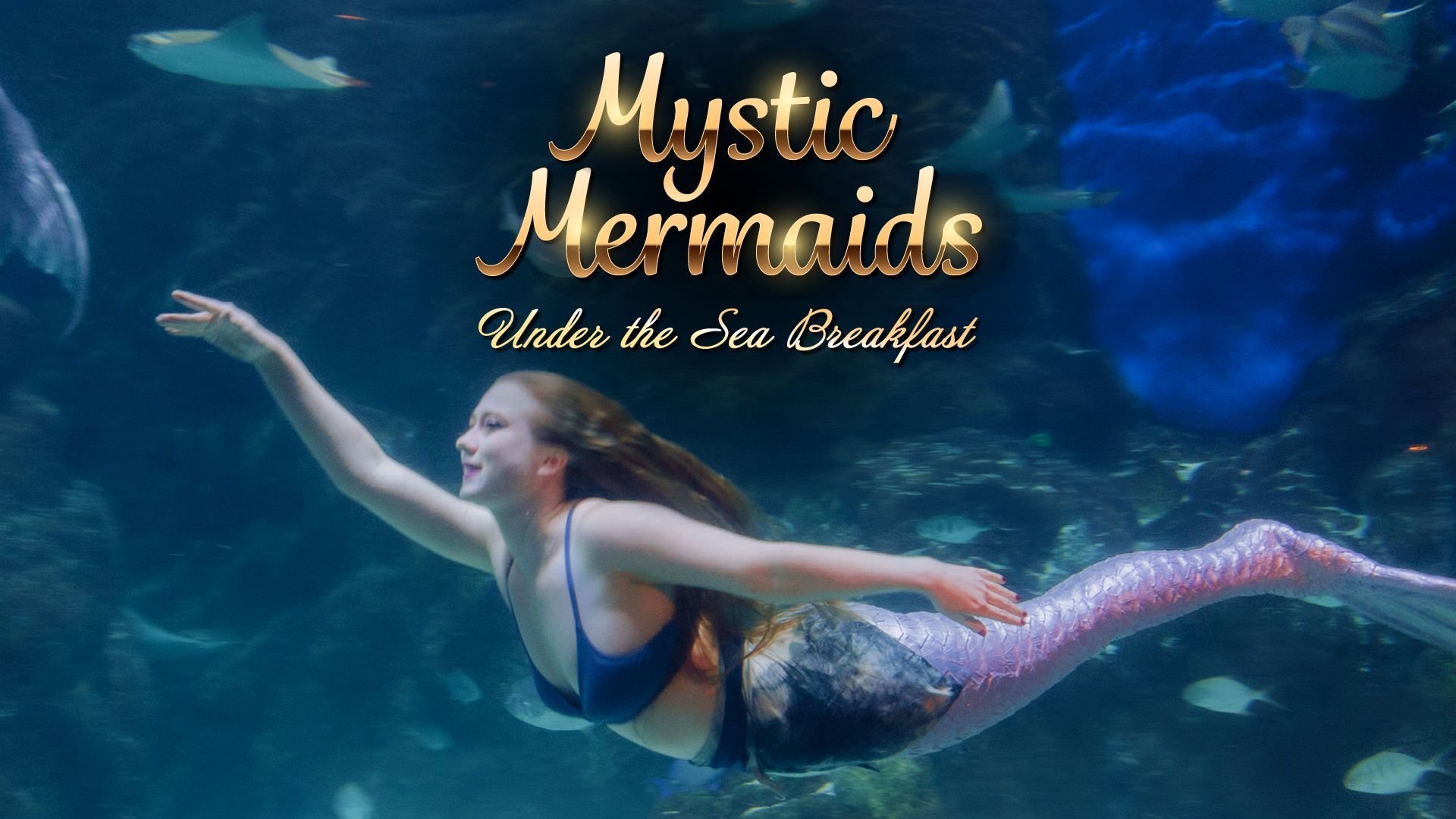 Mermaid swims underwater; wears blue top and pink tail. 