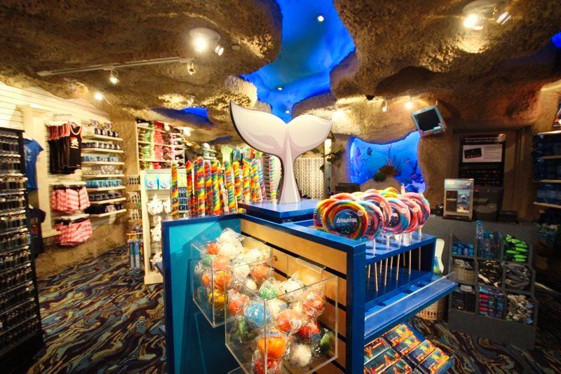 Gift shop with whale tail decor, blue shelving, candy, and ocean-themed merchandise.
