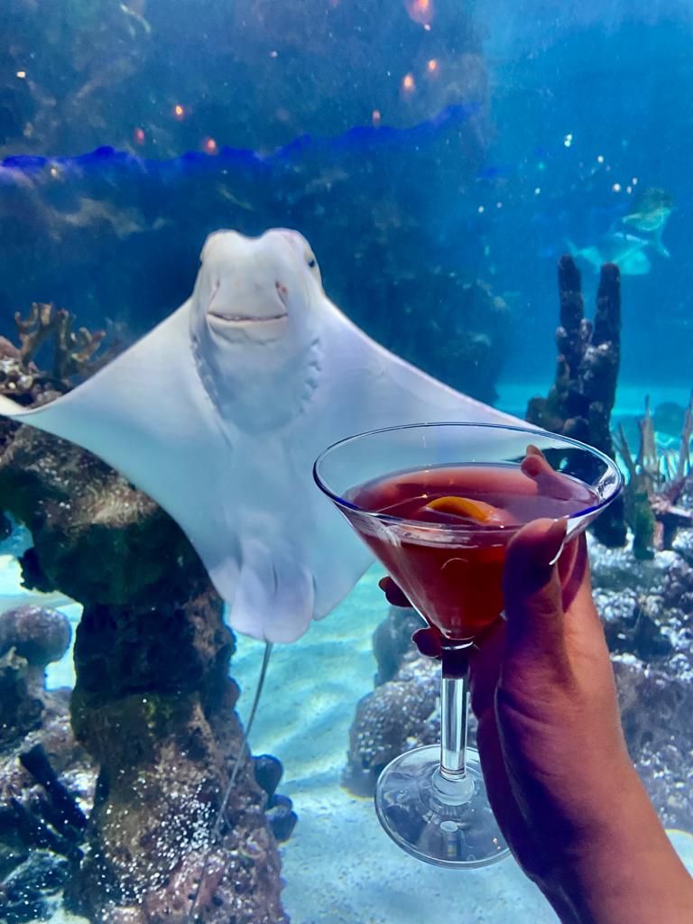 A large room with tables and chairs set up for a banquet