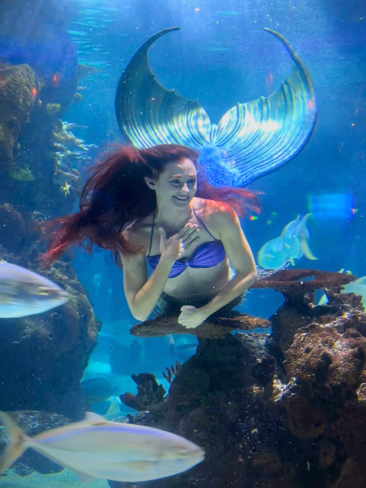 Mermaid in a blue tail swims in an aquarium, smiling and interacting with the marine life.