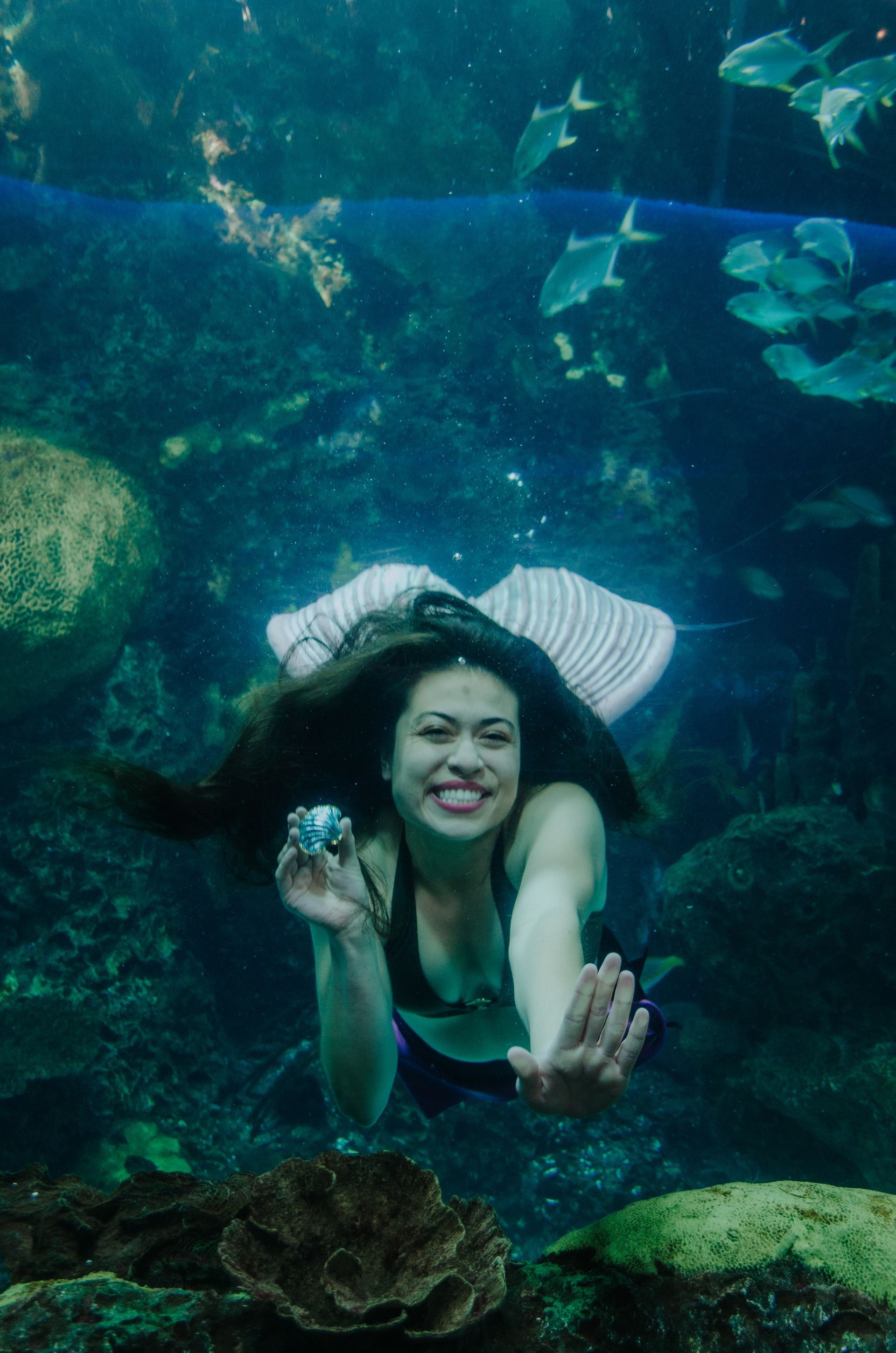 Woman smiling underwater, wearing a mermaid tail and holding a silver item, surrounded by fish.