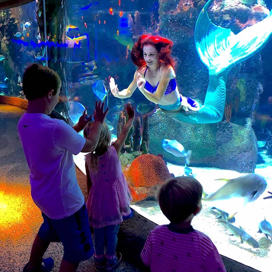 Children wave at a mermaid swimming in an aquarium tank.