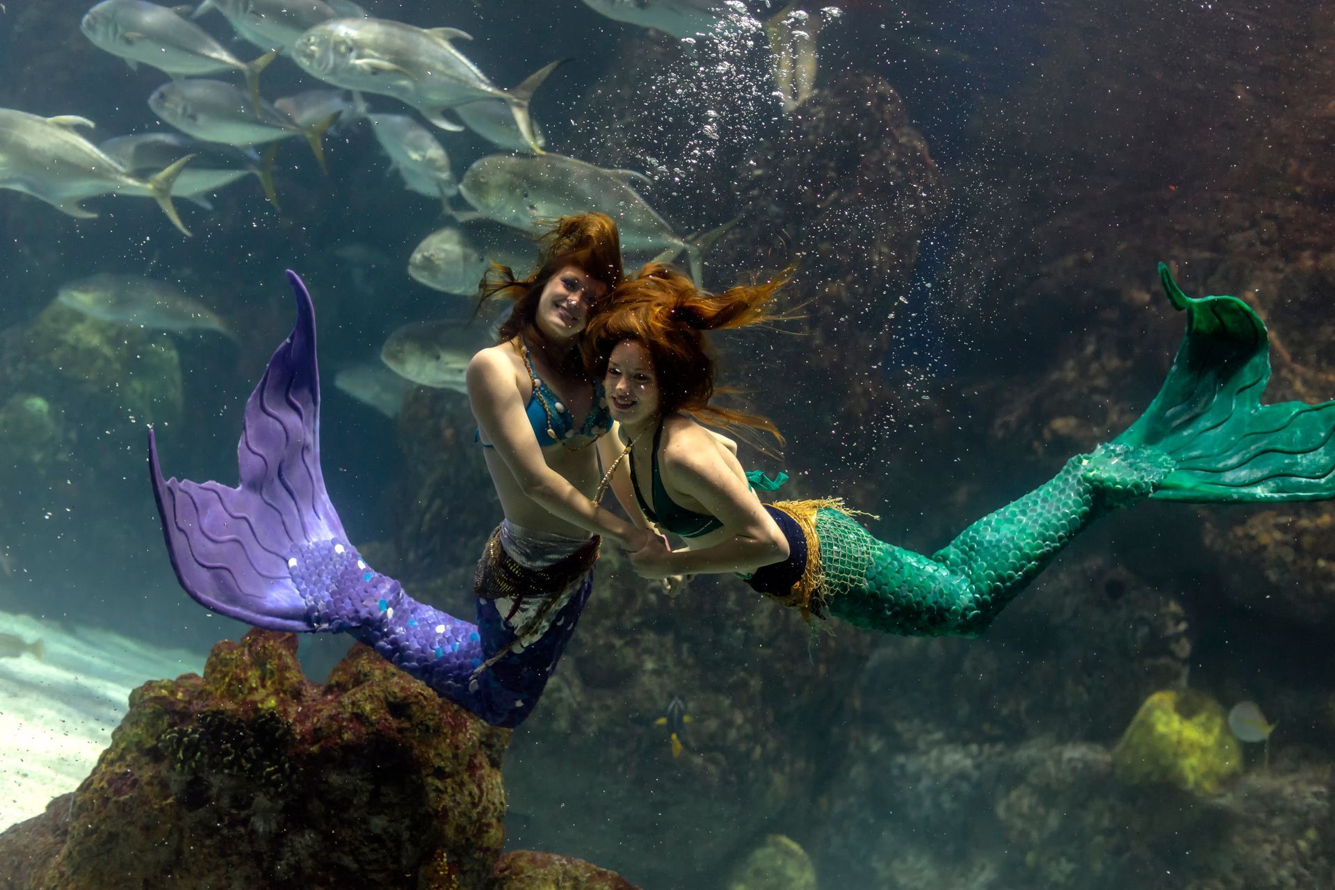 Two mermaids swim underwater, one with a purple tail, the other green. Fish swim in the background.