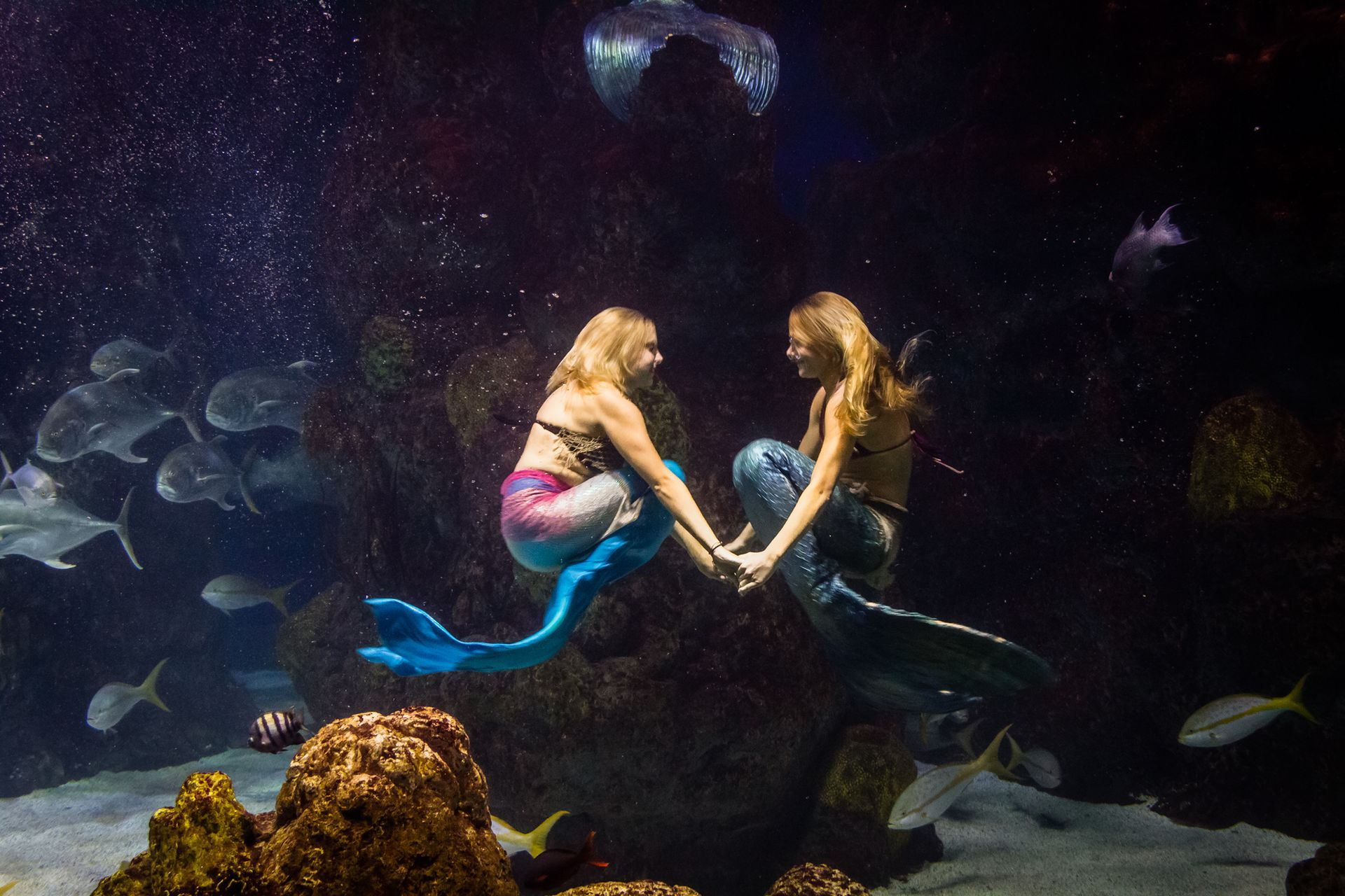 A large aquarium with a few fish in it