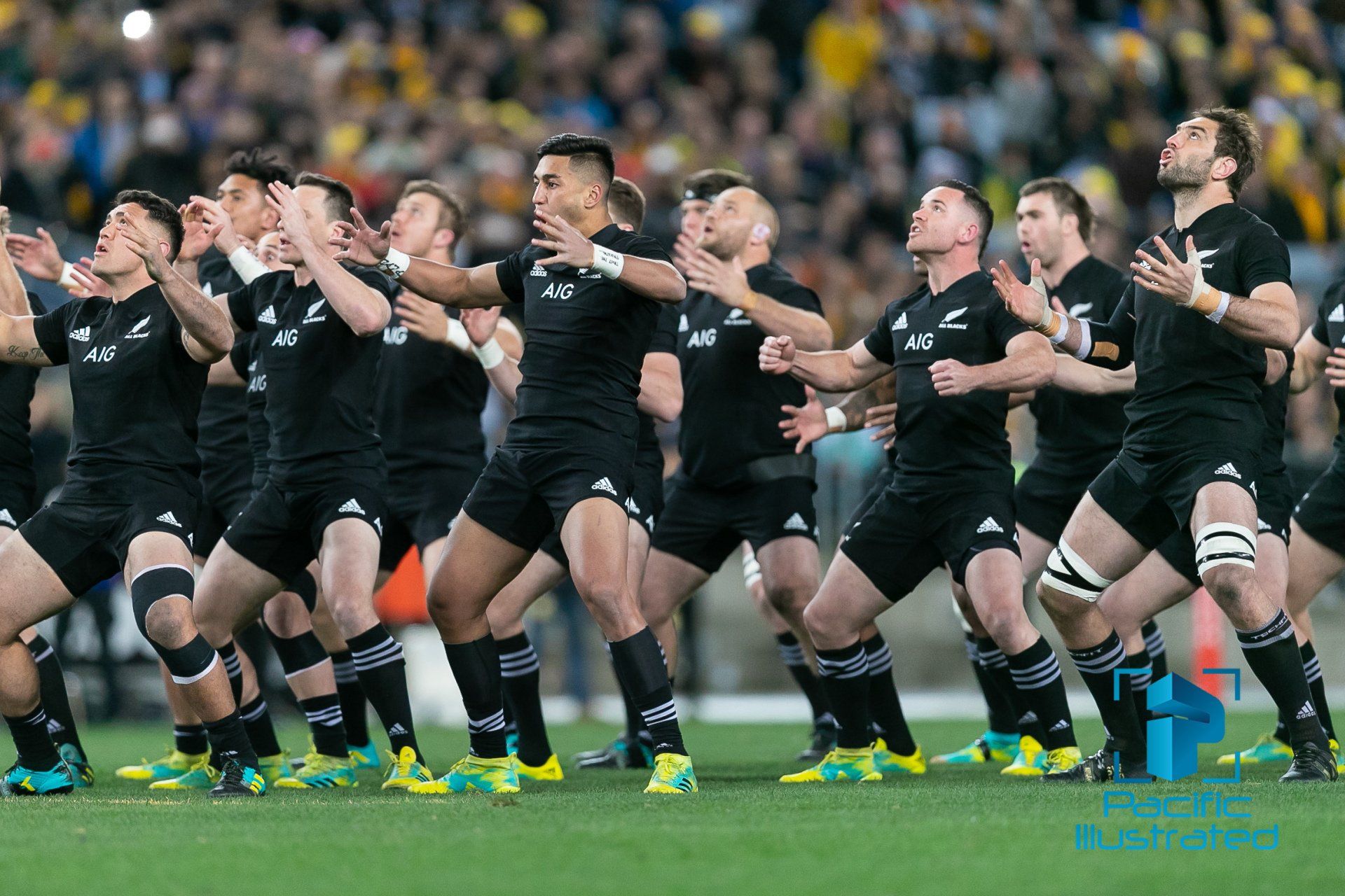 all-blacks-player-ratings-2018