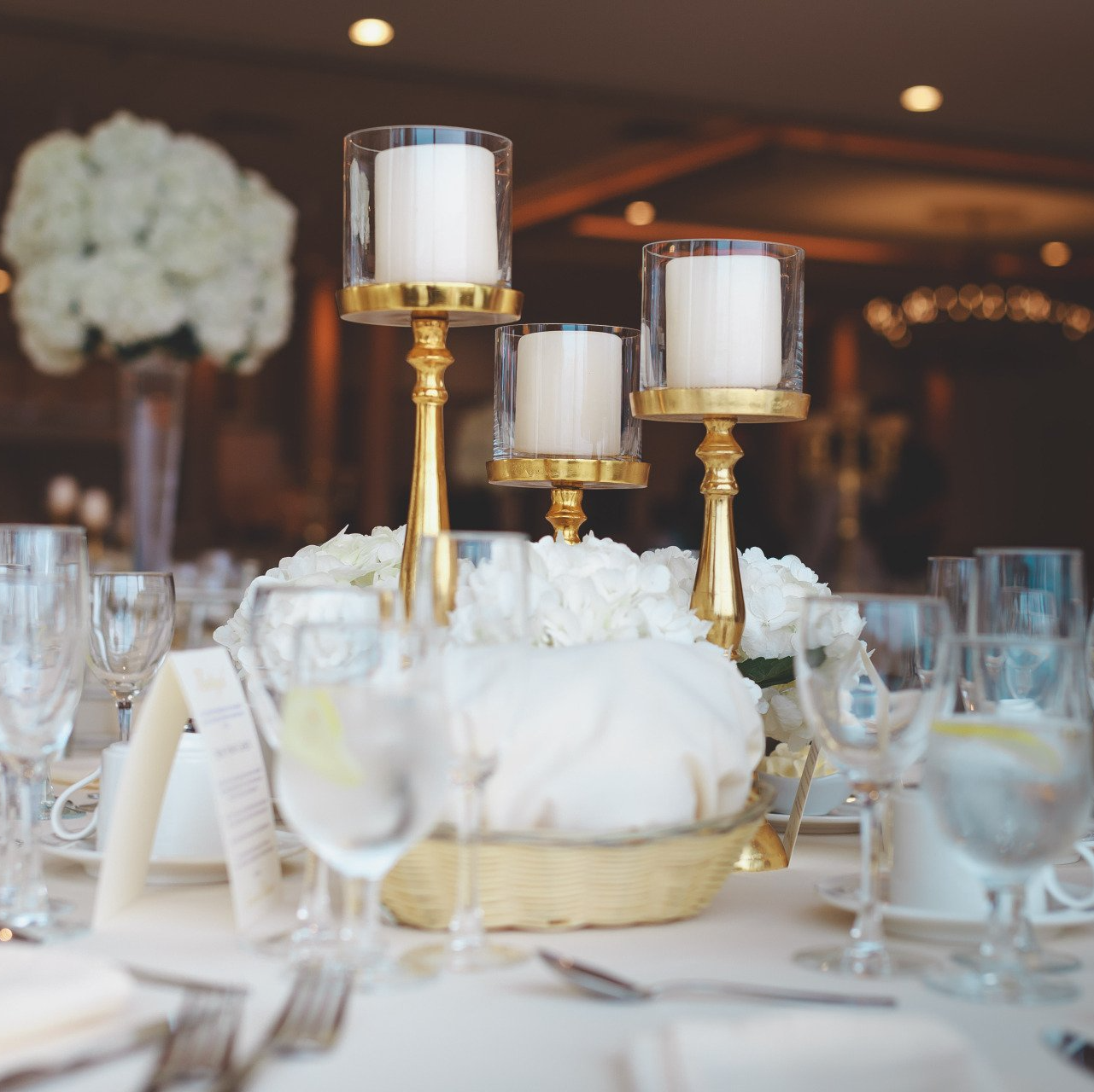 Amenities for Gala and Fundraisers - center pieces