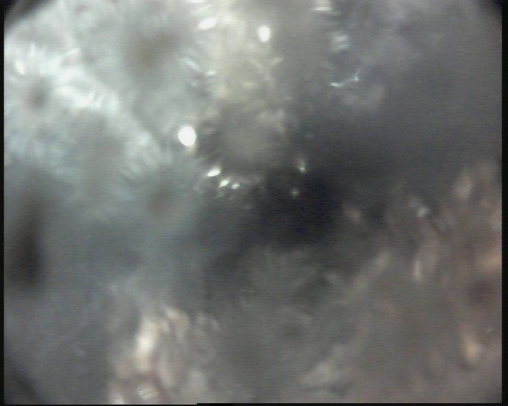 localizzazione guasti