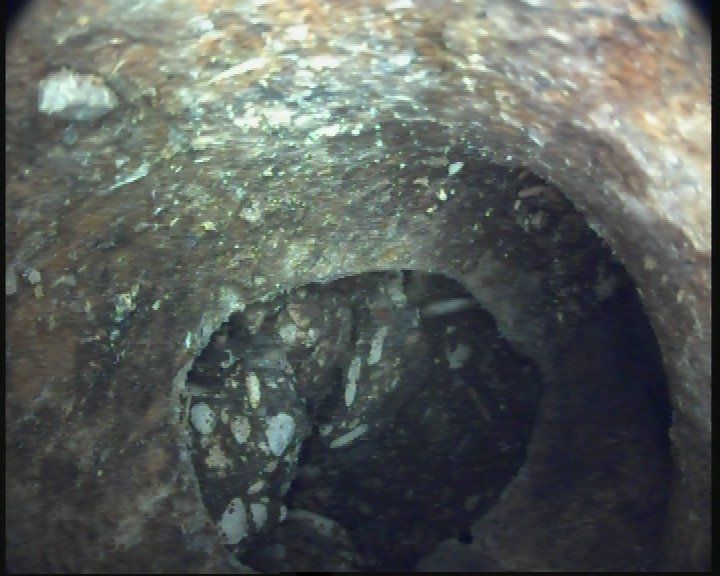 ispezioni per immagini