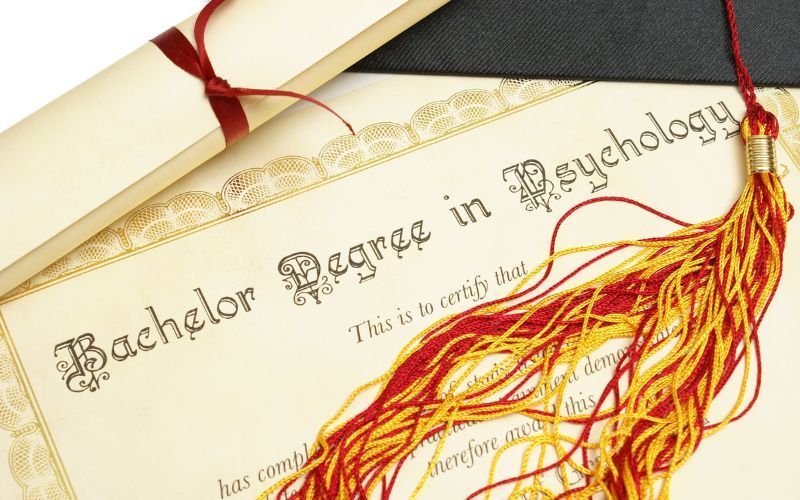 Bachelor’s degree in psychology