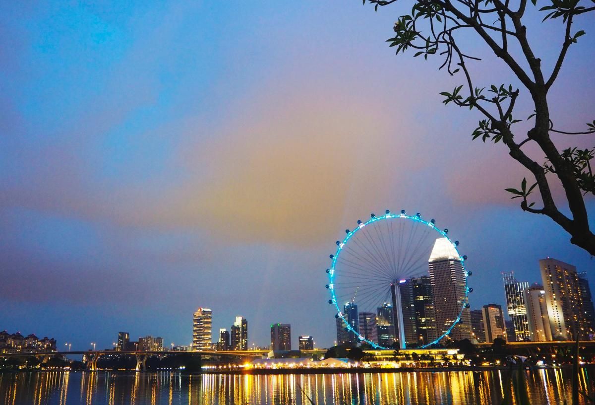 franchisee background check Sydney
