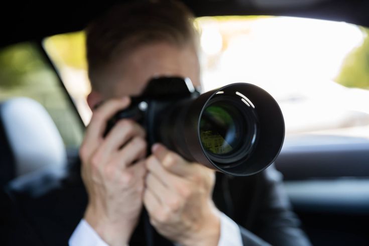 the role of private investigator