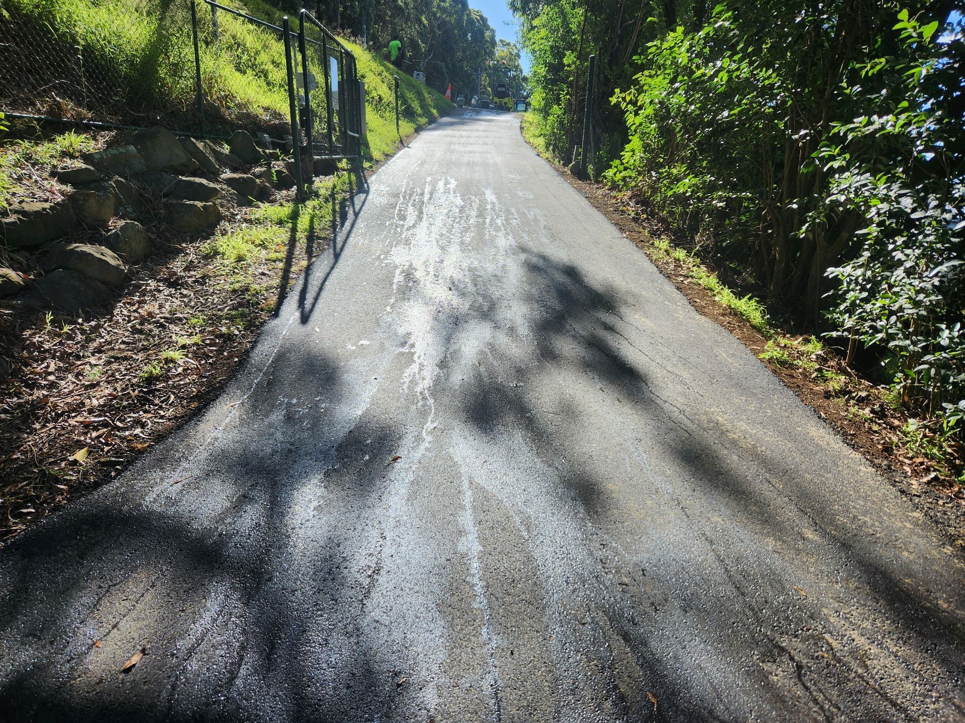 A steep asphalt driveway rises between a grassy hill on the left and a line of trees on the right under bright sunlight.