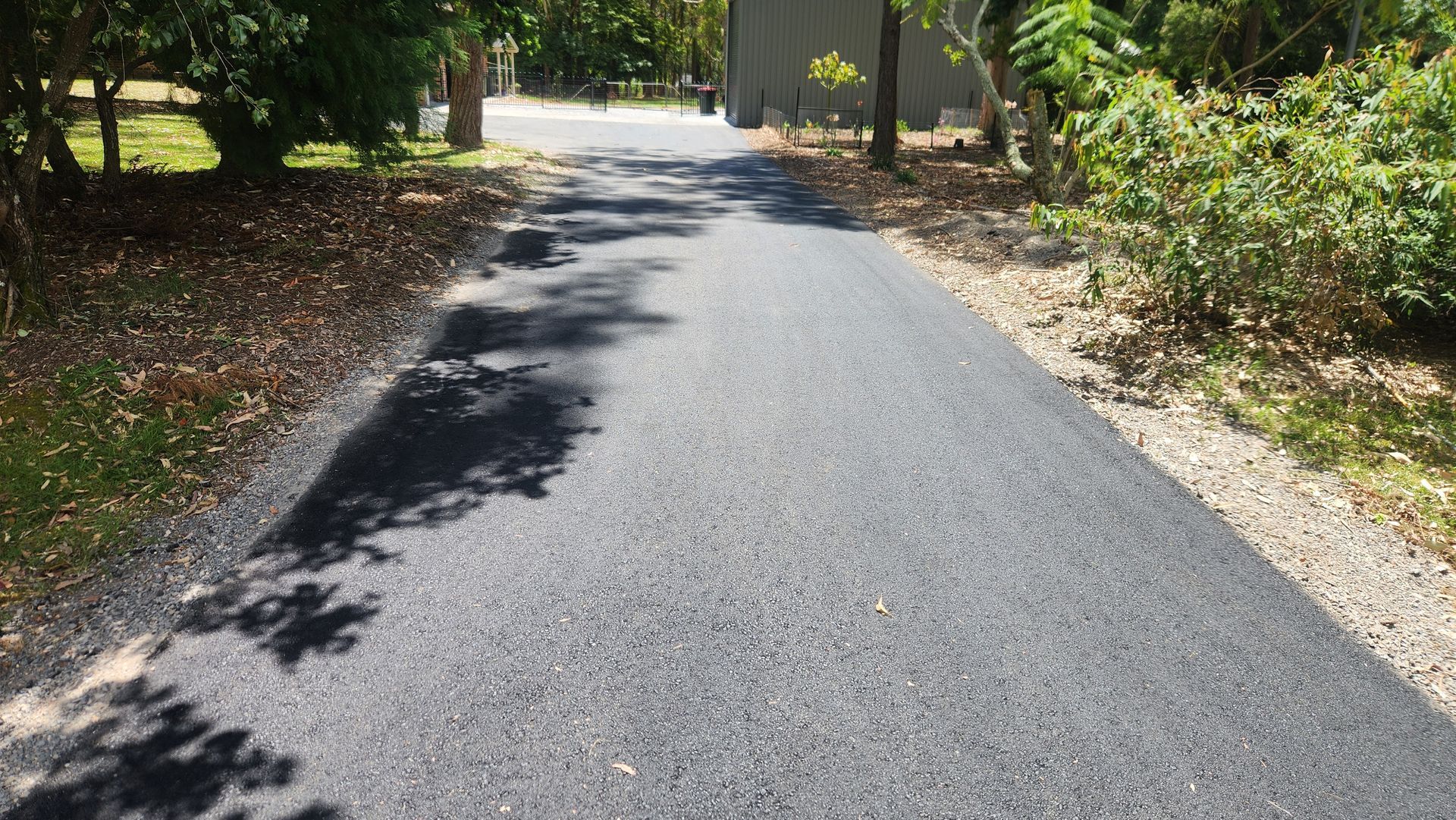 Asphalt Path Through A Wooded Area — TAC Asphalt Services in Warners Bay, NSW