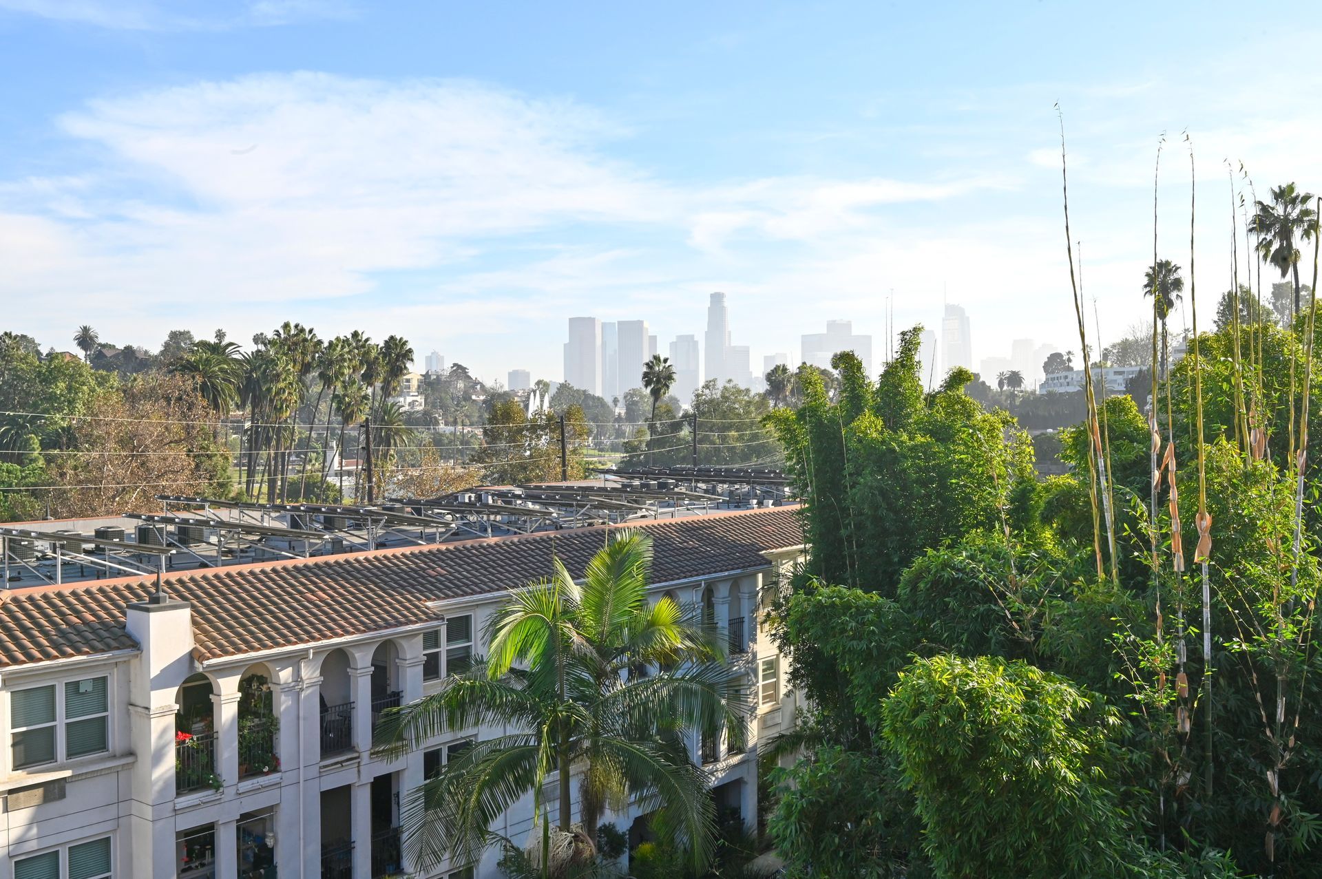 City skyline obscured by haze, viewed from a building surrounded by trees.
