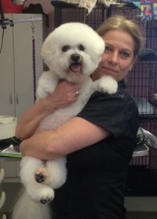 Pet grooming services in Nelson