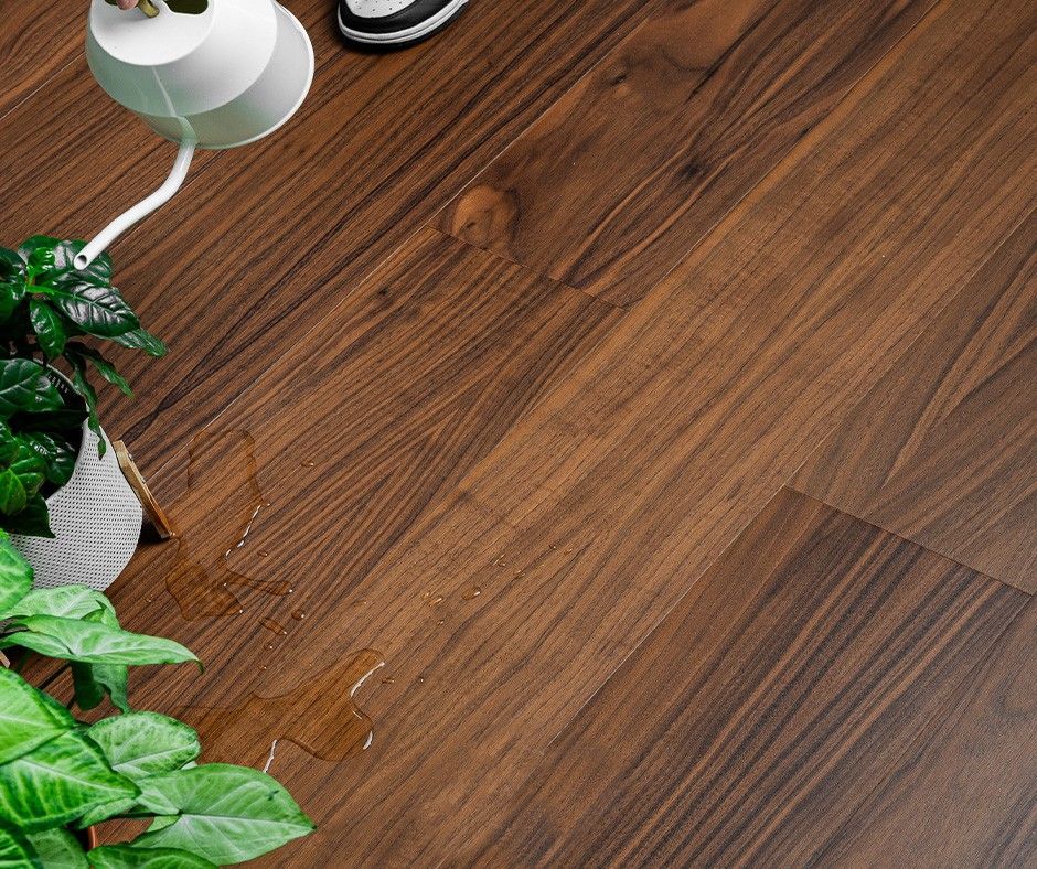 Pavimento in legno marrone con una pianta che versa acqua, una lampada e una scarpa.