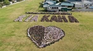 Orewa College and Amokura Coaching