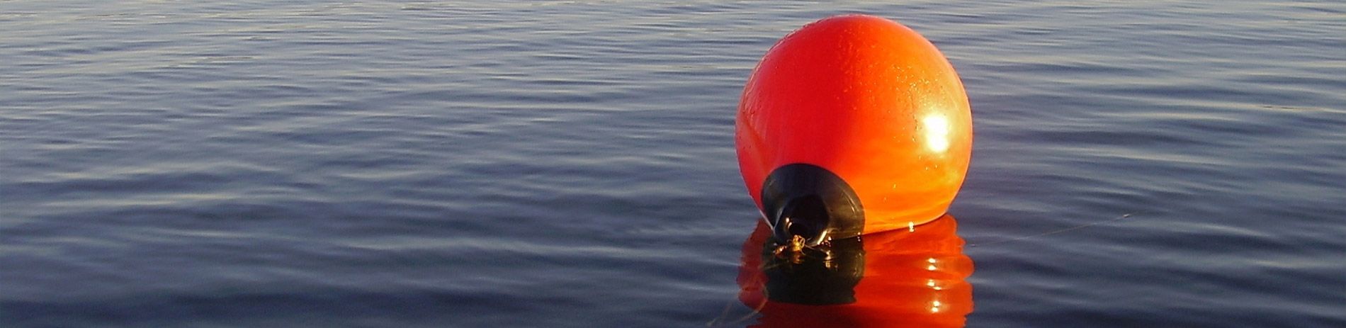 a red buoy is floating on top of a body of water .
