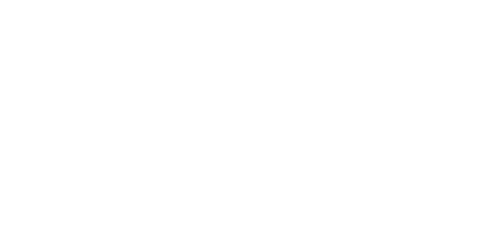 Spark Wellness Group logo