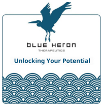 the logo for blue heron therapeutics shows a bird flying over waves .
