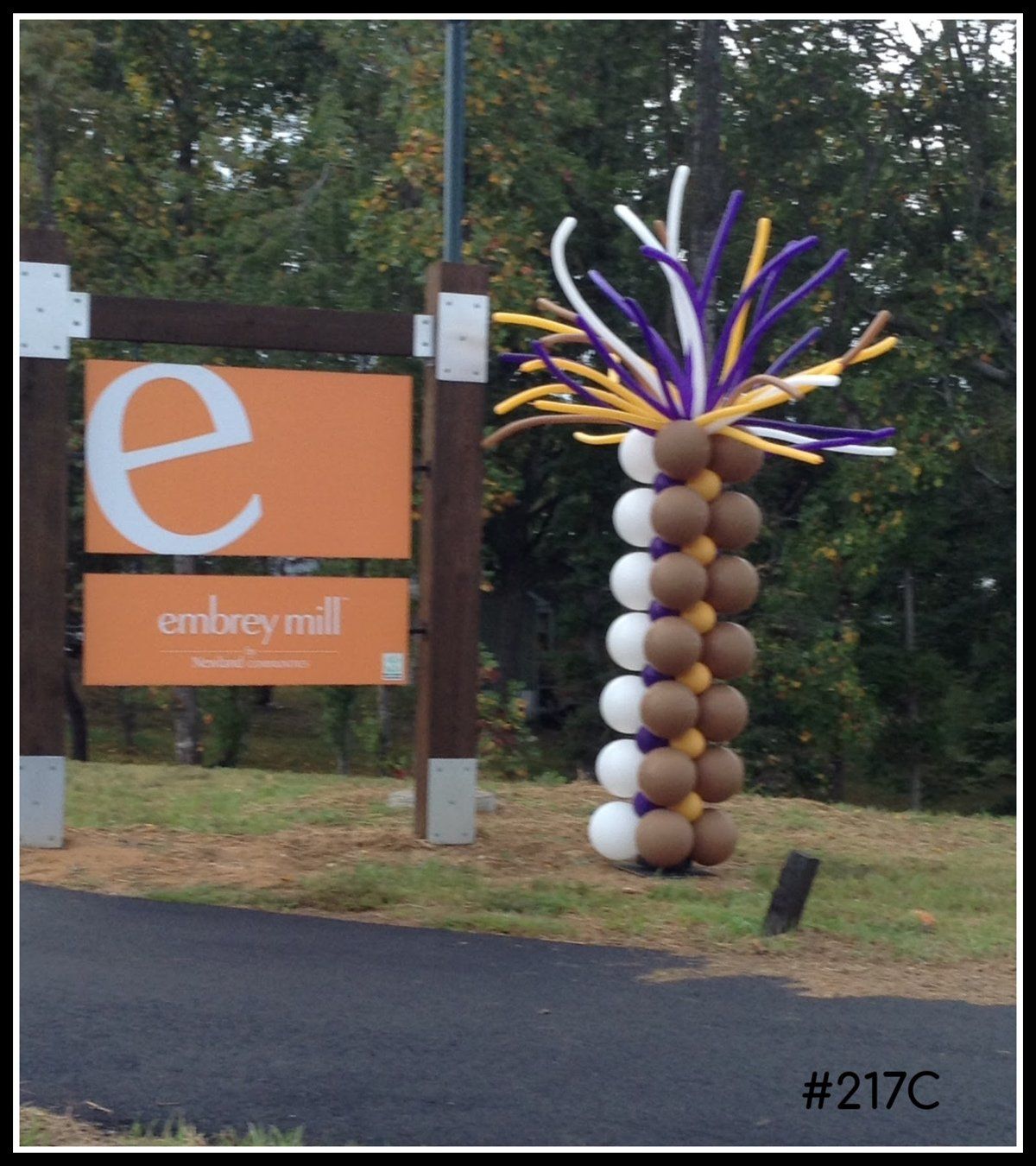 Corporate Balloon Arch