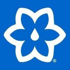 A white flower with a drop of water in the middle on a blue background.