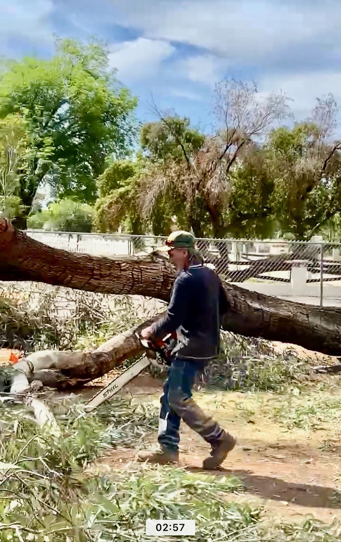 A man is cutting a tree with a chainsaw.