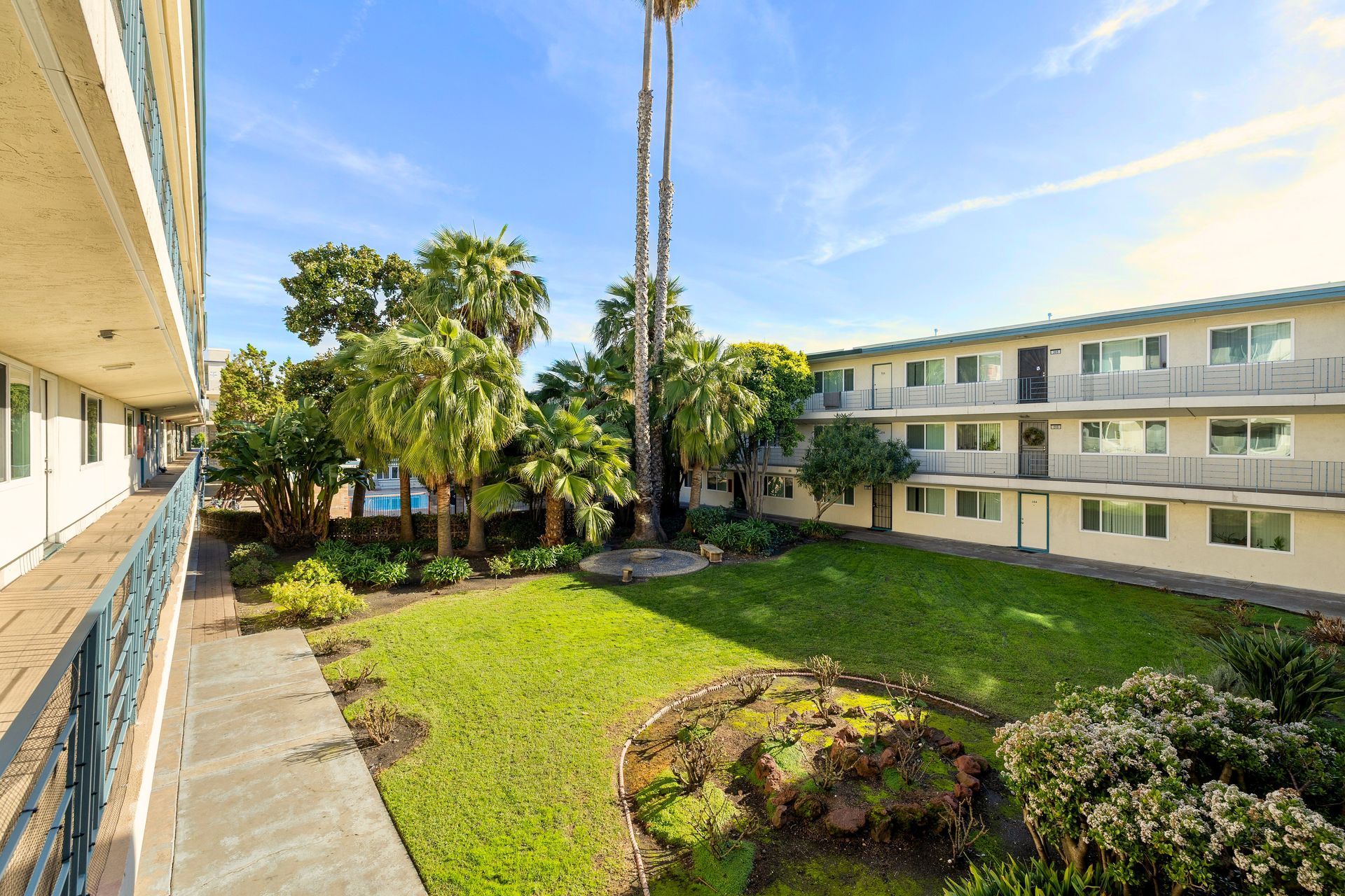 bright and lush courtyard with palm trees