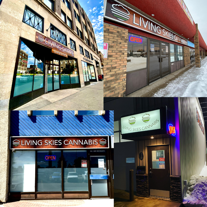 Collage of cannabis dispensary storefronts with neon signs and brick exteriors at night