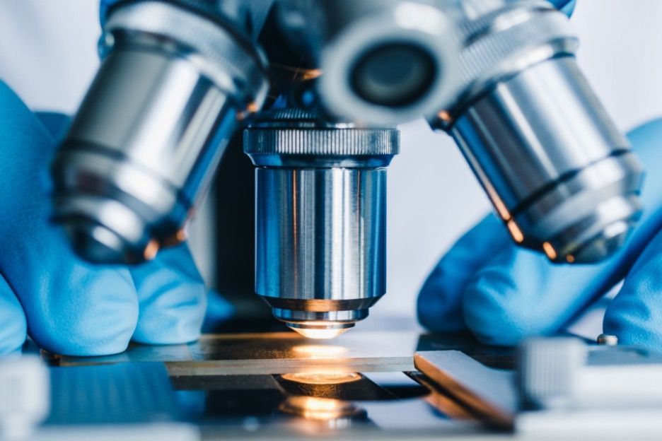 Close-up of a microscope with blue-gloved hands adjusting the equipment.